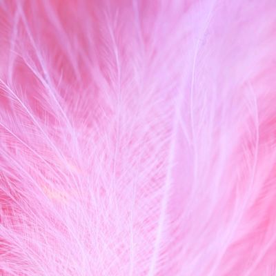 HD Pink Background Images: Free Download | Fotor