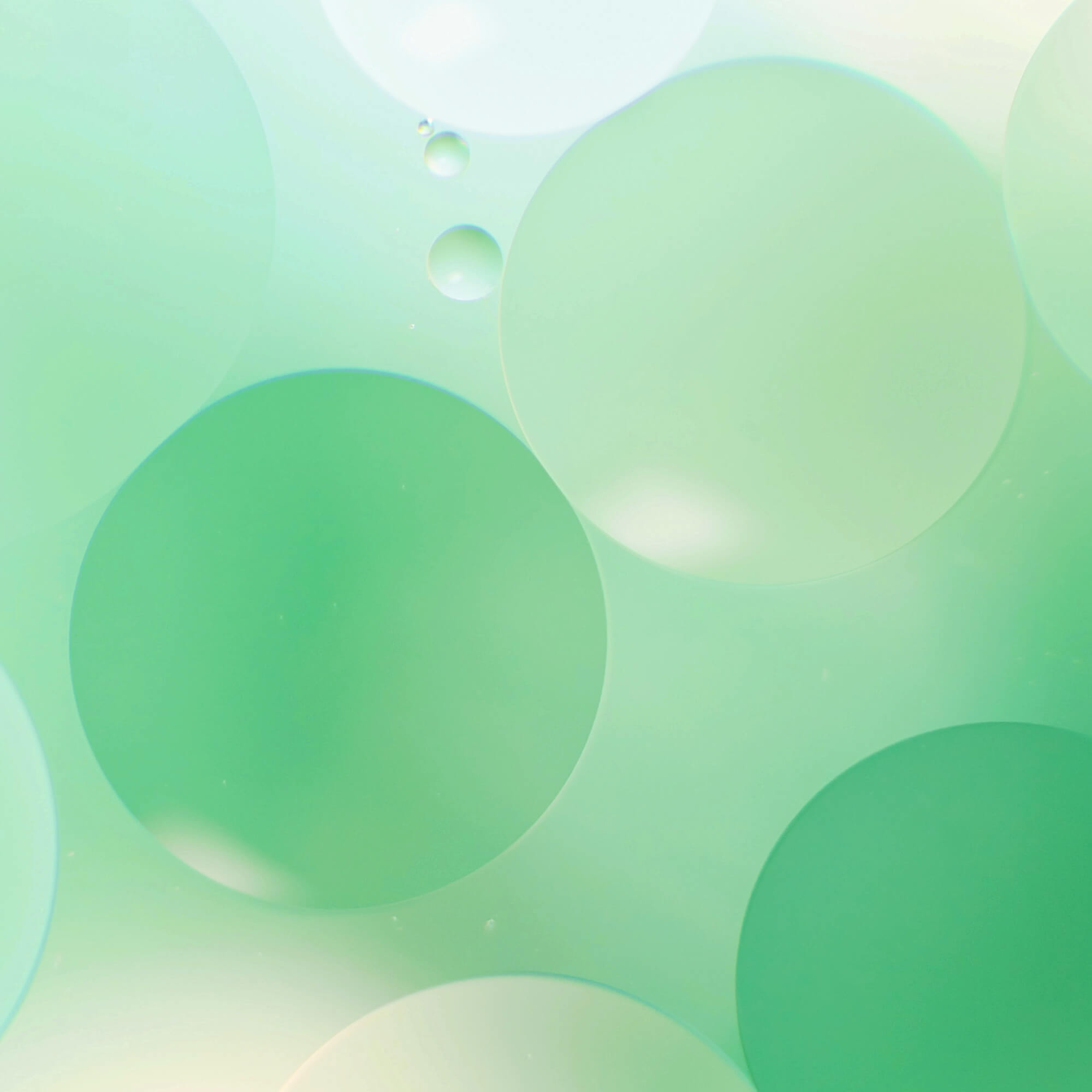 Download White Light Green Aesthetic Gradient Wallpaper