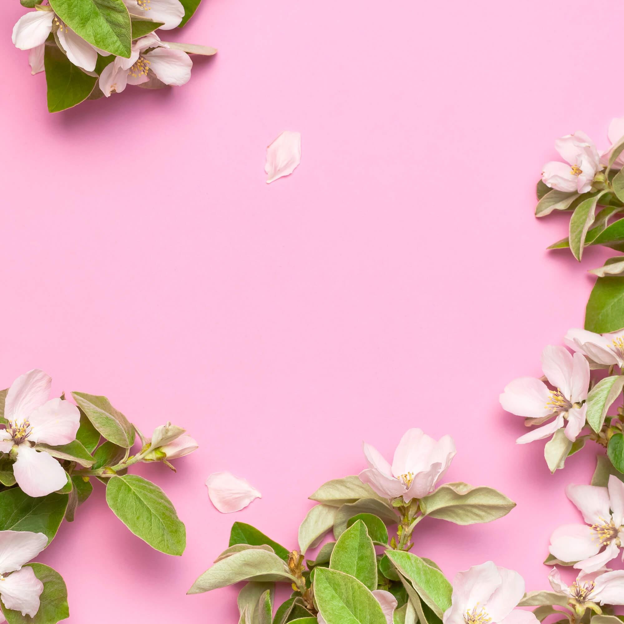 floral background wallpaper