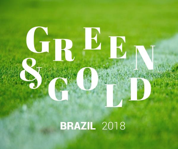 巴西世界杯 Facebook帖子