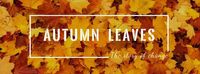 秋天, 季节, 秋日, Autumn Leaves Facebook Cover Template