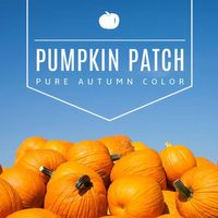 Autumn Pumpkin Patch Instagram Post Instagram Post