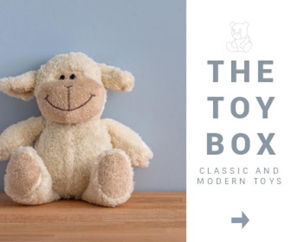 The Toy Box  Large Rectangle