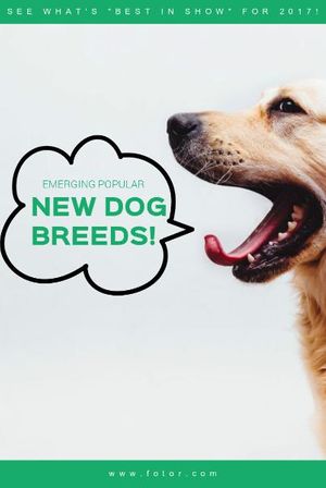 animal, dog breed, dog breeds, Pet Dog Photo Pinterest Post Template