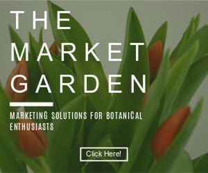 garden, gardening, planting, Marketing Solution Medium Rectangle Template