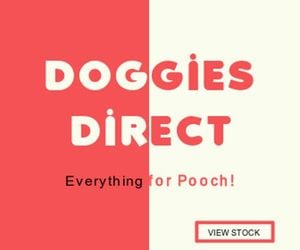 Doggies Direct Large Rectangle