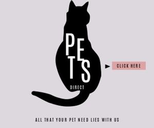 market, cat, business, Pets Ads Large Rectangle Template