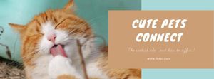 宠物, ads, life, Cute Pets Facebook Cover Template