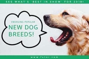 ad, advertisement, pet, New Dog Breeds Blog Title Template