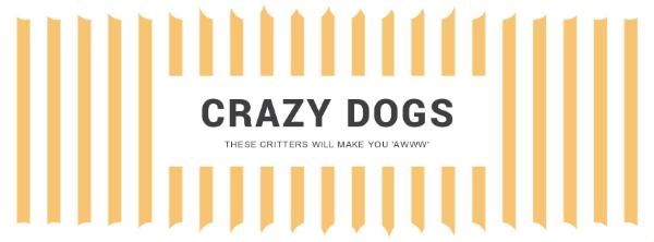 life, lifestyle, pet, Crazy Dogs Facebook Cover Template