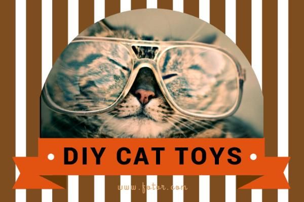DIY猫のおもちゃ ブログヘッダー