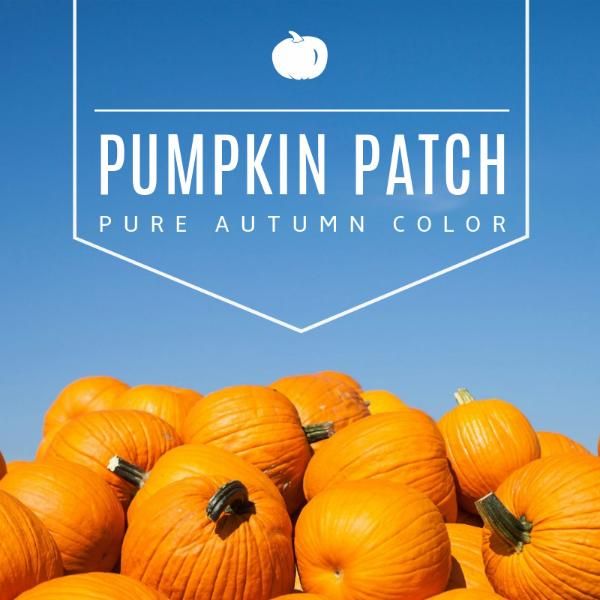 season, life, lifestyle, Autumn Pumpkin Patch Instagram Post Template