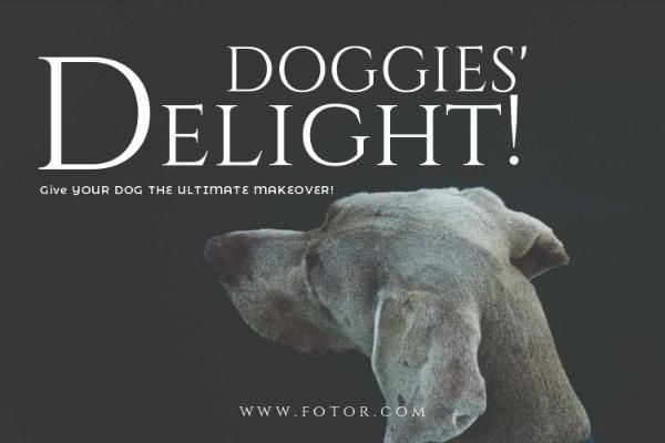 makeover, article, tips, Doggies' Delight Blog Title Template