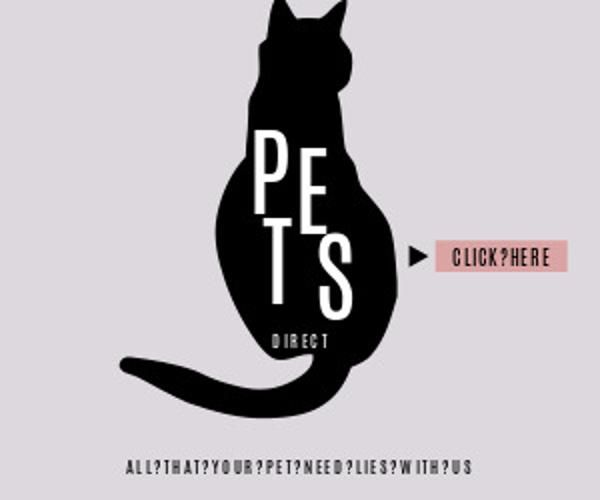 cat, retail, promotion, Pets Ads Medium Rectangle Template