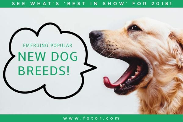 ad, advertisement, pet, New Dog Breeds Blog Title Template