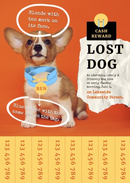 Lost Dog Notification Poster