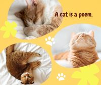 黄色可爱的猫拼贴画 Facebook帖子