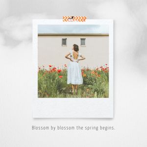 minimal, photo, plant, Gray Organic Spring Collage Instagram Post Template