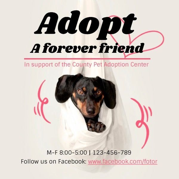 friend, pet, dog, White Animal Adoption Center Poster Instagram Post Template