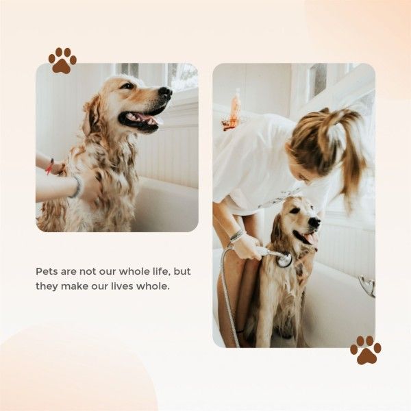 dog, paw, photo, Get Along With Pets Instagram Post Template