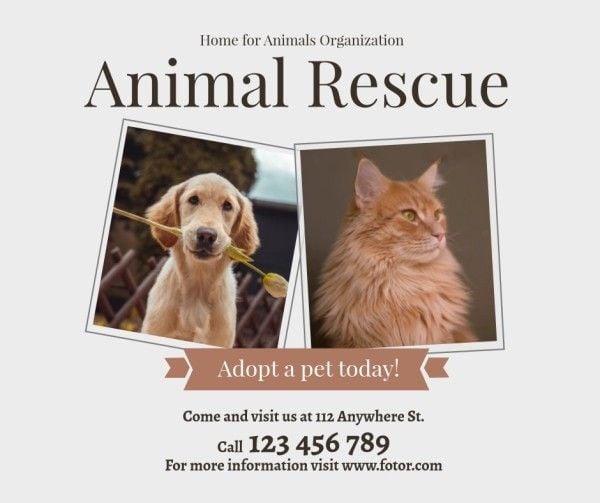 White Animal Rescue Adopt Pet Facebook Post Template and Ideas for Design |  Fotor