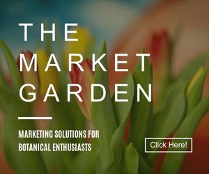 garden, gardening, planting, Marketing Solution Medium Rectangle Template