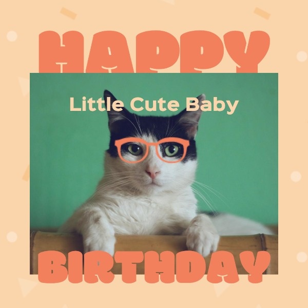 祝你的宠物生日快乐 Instagram帖子