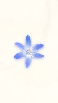 イラスト 水彩画 春の野生の花 Instagramハイライトカバー