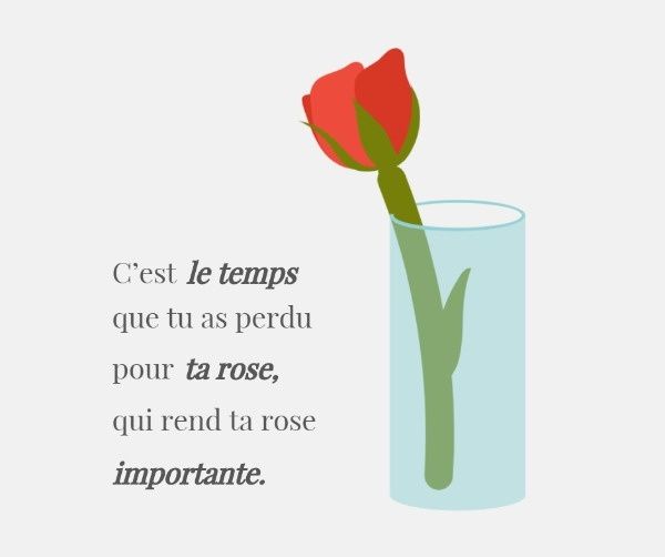 life, inspiration, encouragement, Little Prince Rose Quote Facebook Post Template