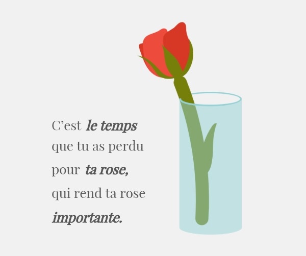 Little Prince Rose Quote Facebook Post