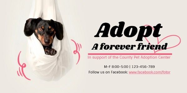 White Animal Adoption Center Poster Twitter Post