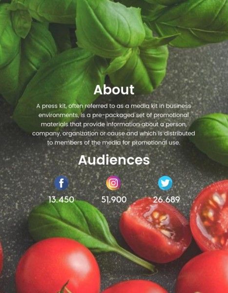 blogger, advertising, commercial, Black Art Of Food Media Kit Template