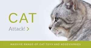 pet, cat accessories, pet supplies, Cat Toys And Accessories Facebook Ad Medium Template
