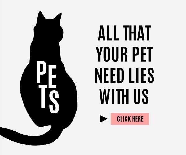 cat, promotion, store, Pets Ads Medium Rectangle Template