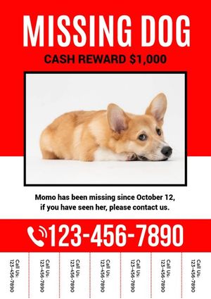 lost, pet, cat, Red Missing Dog Ad Poster Template