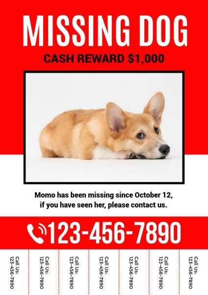 赤い行方不明の犬の広告 ポスター