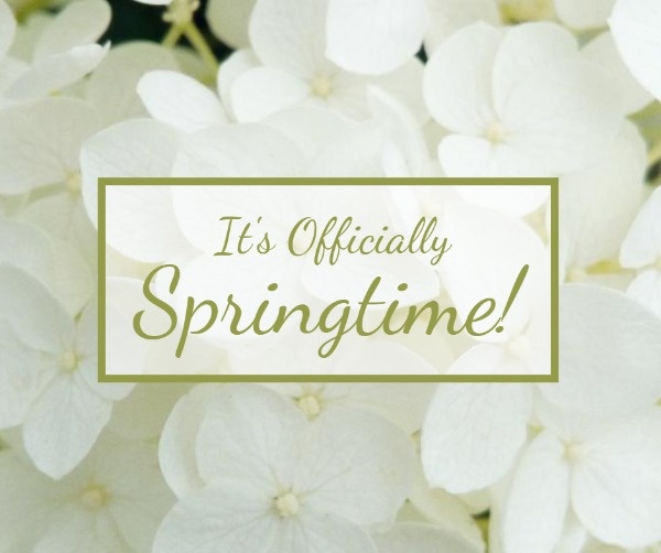 White Blossom Spring Time  Facebook Post