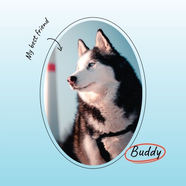dog, simple, minimalist, Blue Modern Gradient Pets Photo Instagram Post Template