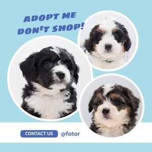 pet, pets, animal, Blue Cute Dogs Photo Collage Instagram Post Template