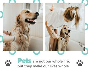 dog, animal, life, Have Fun With Pets Facebook Post Template