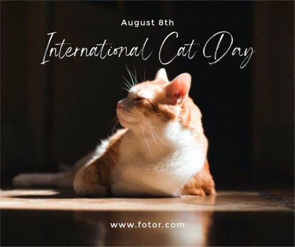international cat day, photo, minimal, Black Cat Day Facebook Post Template