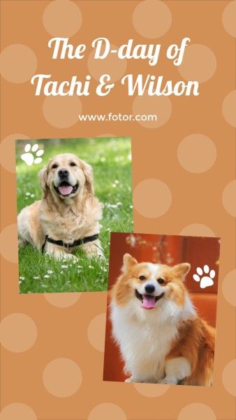 cuteness, photograph, love, Dog Friendship Collage Photo Collage 9:16 Template
