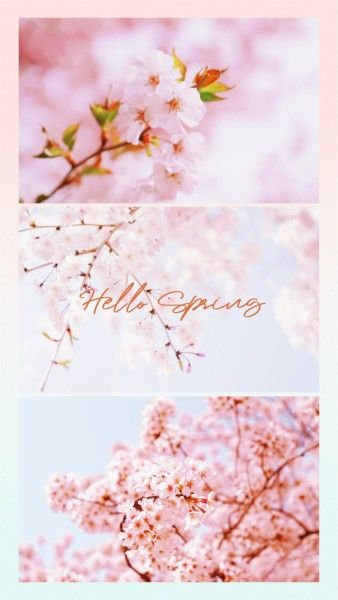 cherry, sakura, flower, Pink Clean Spring Blossom Photo Collage Instagram Story Template