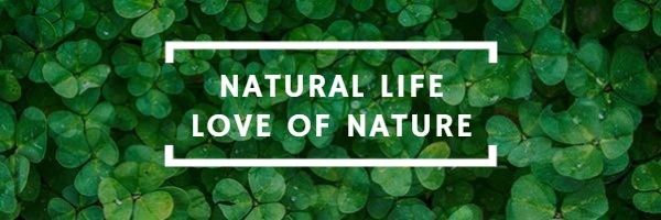 nature, plant, leaf, Natural Life Email Header Template