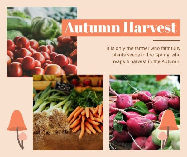 season, fall, life, Autumn Harvest Facebook Post Template