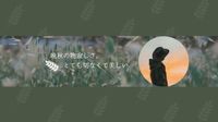 秋景 Youtube频道封面