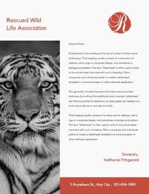 ngo, non-profit, organization, Animal Charity Letterhead Template