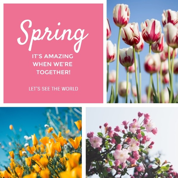 白色和蓝色的春天花拼贴画 Instagram帖子