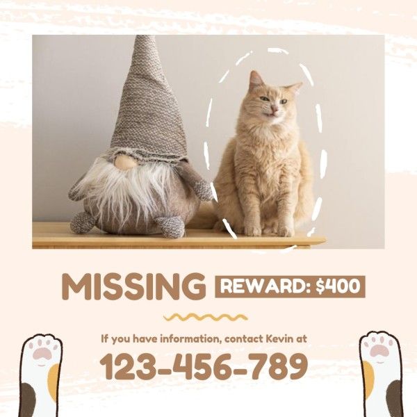pet, reward, find, Beige Missing Cat Instagram Post Template
