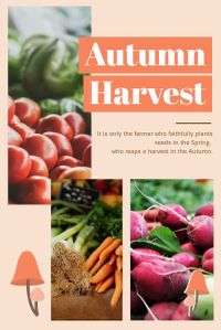 season, fall, fall harvest, Autumn Harvest Pinterest Post Template